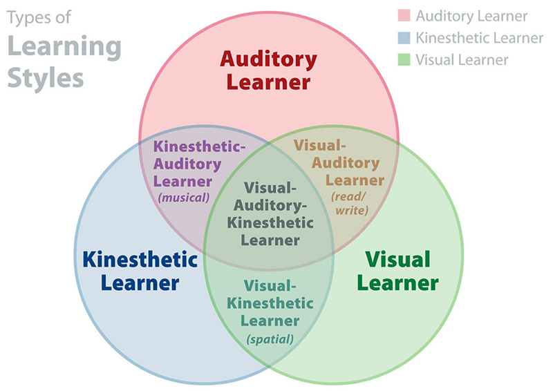 vark learning styles chart