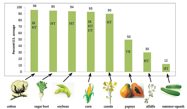 biology projects genetics Explore the Impact of Genetic Modification on Seeds
