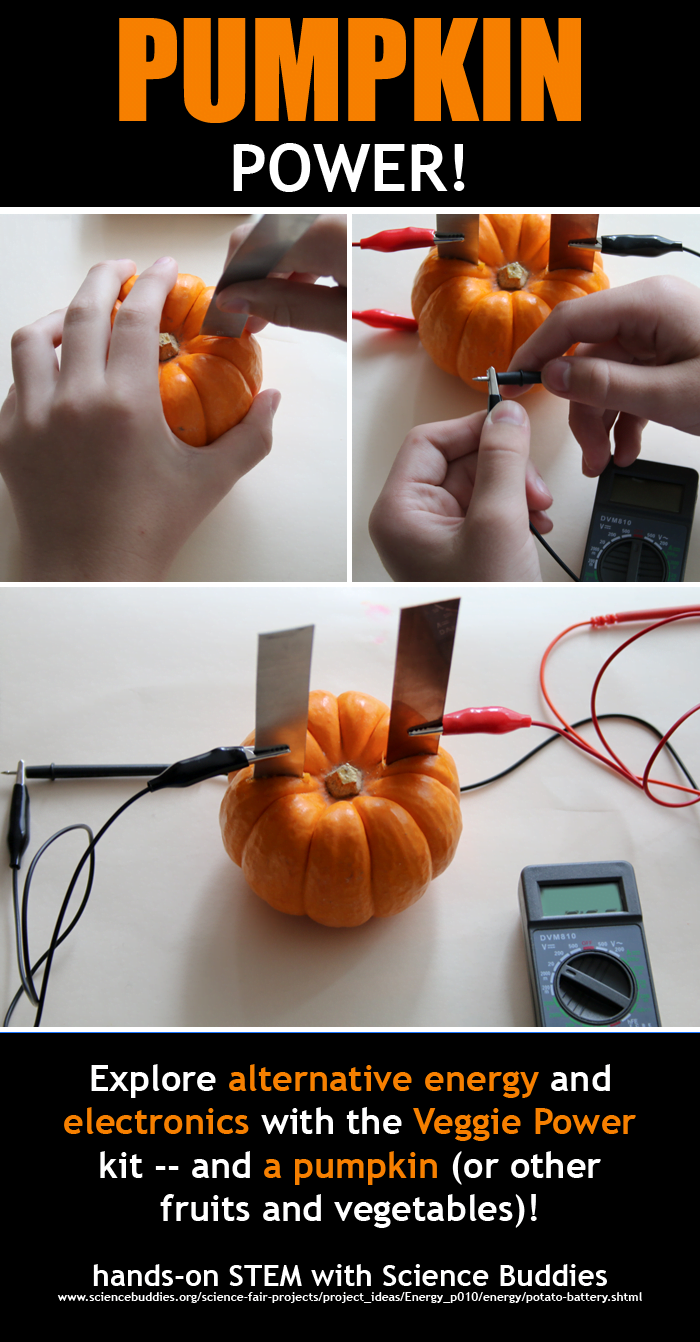 Pumpkin Power Project