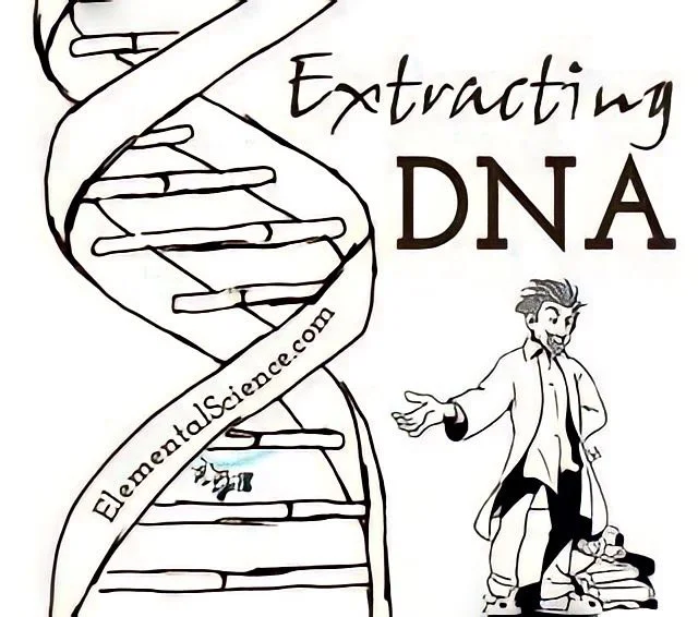 Extracting a DNA