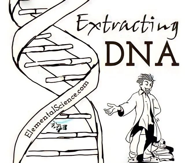 biology projects genetics Extracting a DNA