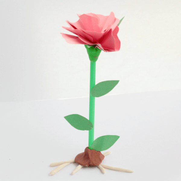 Make a 3D Flower Model with Parts