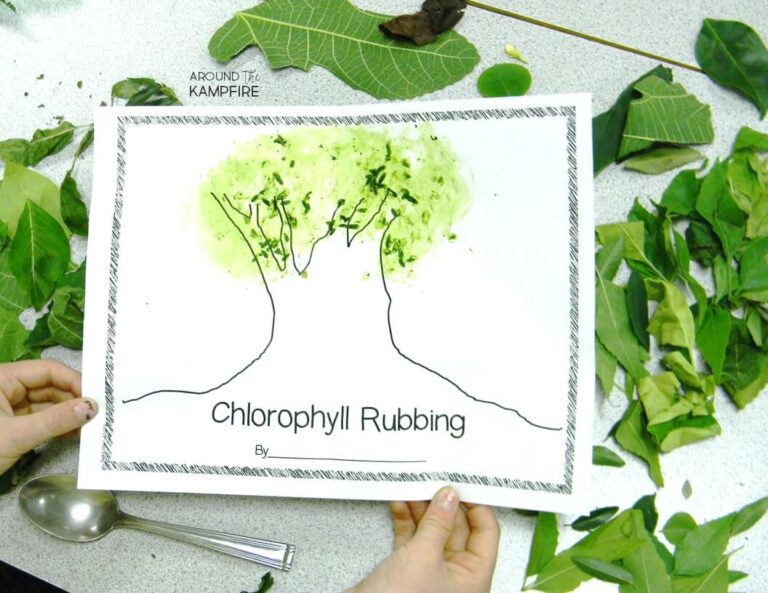 Chlorophyll Paintings