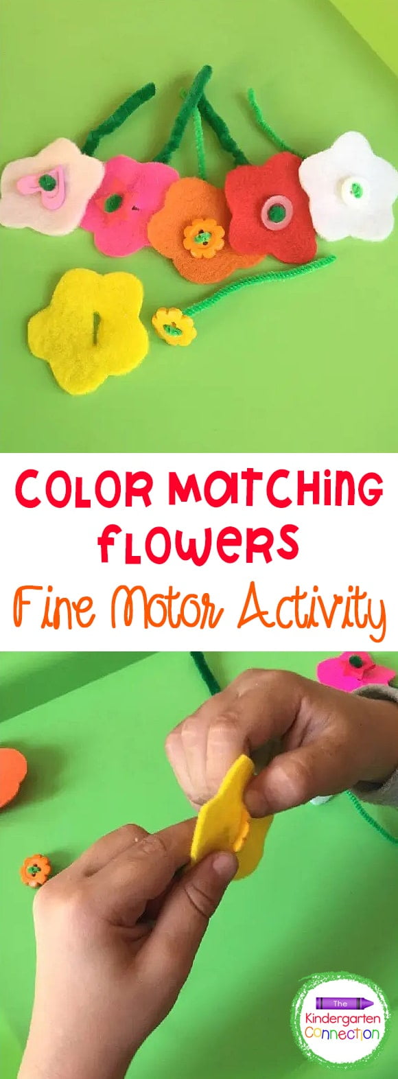 Color Matching Flowers