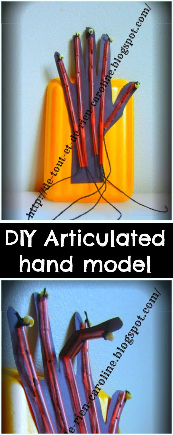 Articulated Hand Model