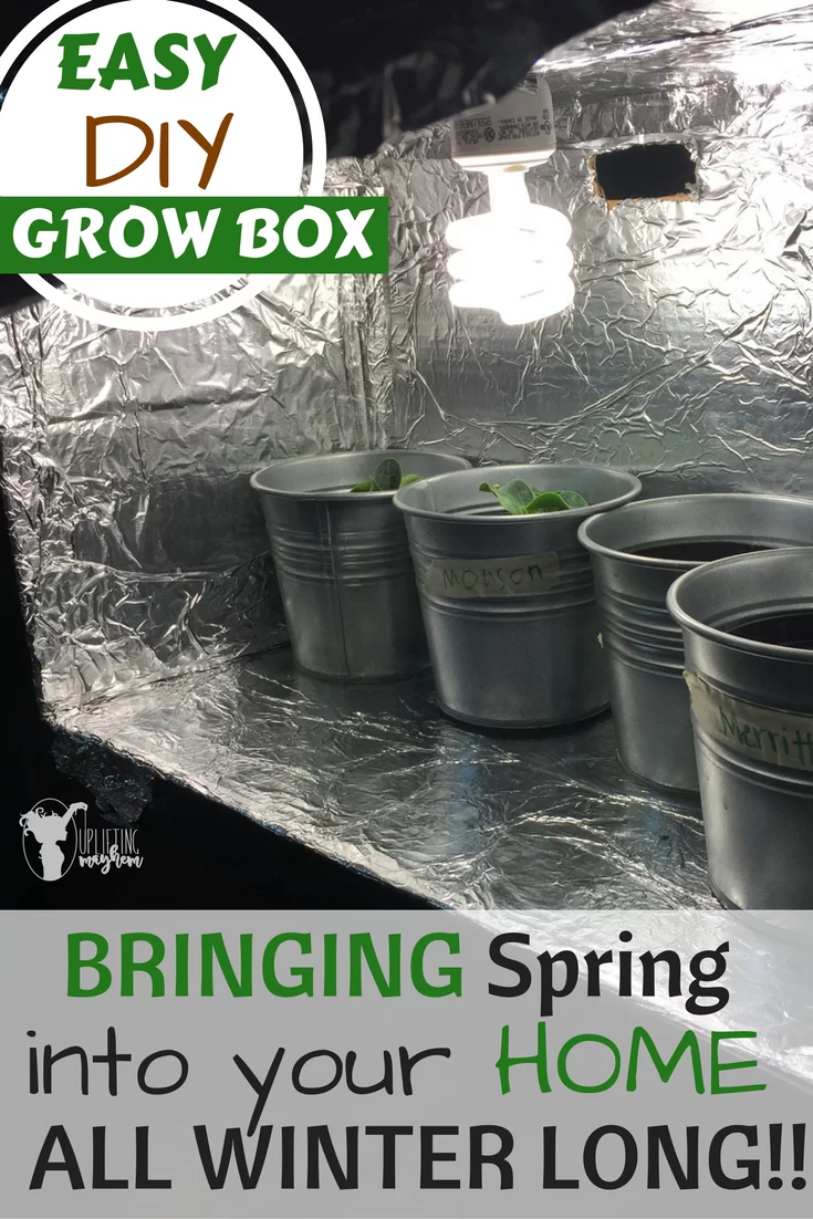 DIY Grow Box