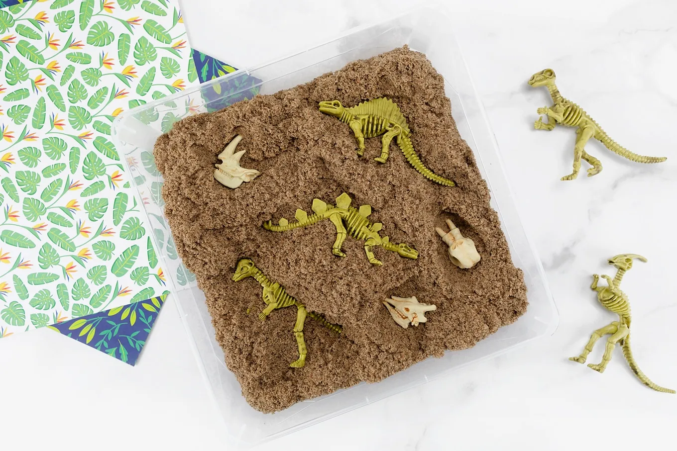 Dinosaur Dig Activity