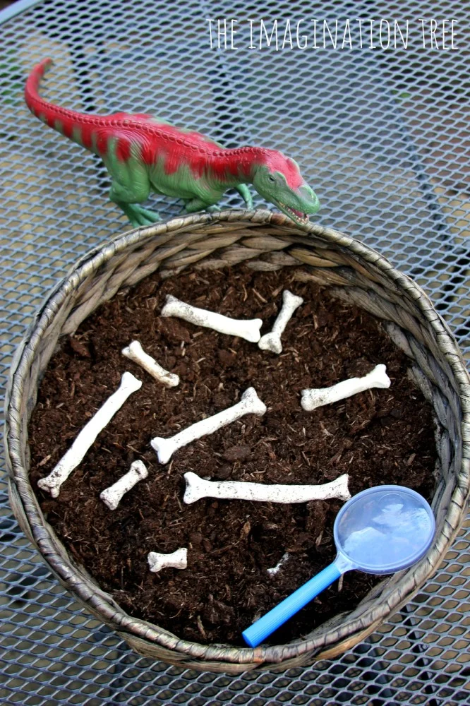 Dig Dinosaur Bones