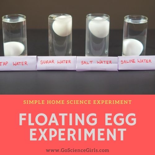 Floating Egg Science
