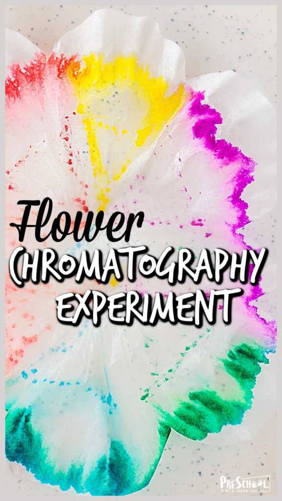 Flower Chromatography