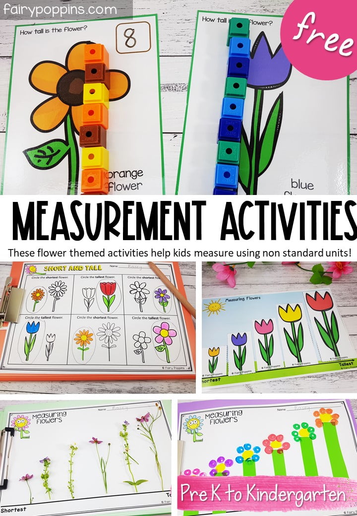 Flower Measurement Activities