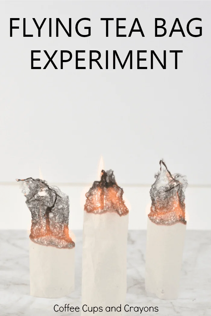 science projects for middle school students Flying Tea Bag