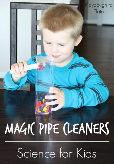 Magic Pipe Cleaners