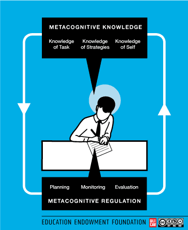 Metacognitive knowledge