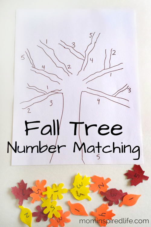 Fall Tree Number Matching