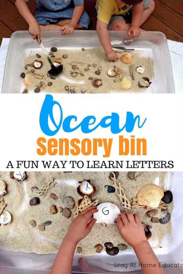 An Ocean Sensory Bin
