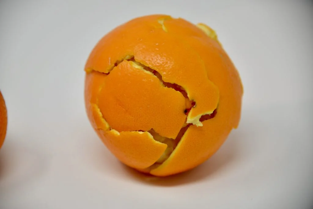 science projects for middle school students Orange Peel Plate Tectonics