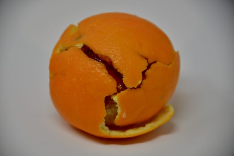 Orange Peel Plate Tectonic