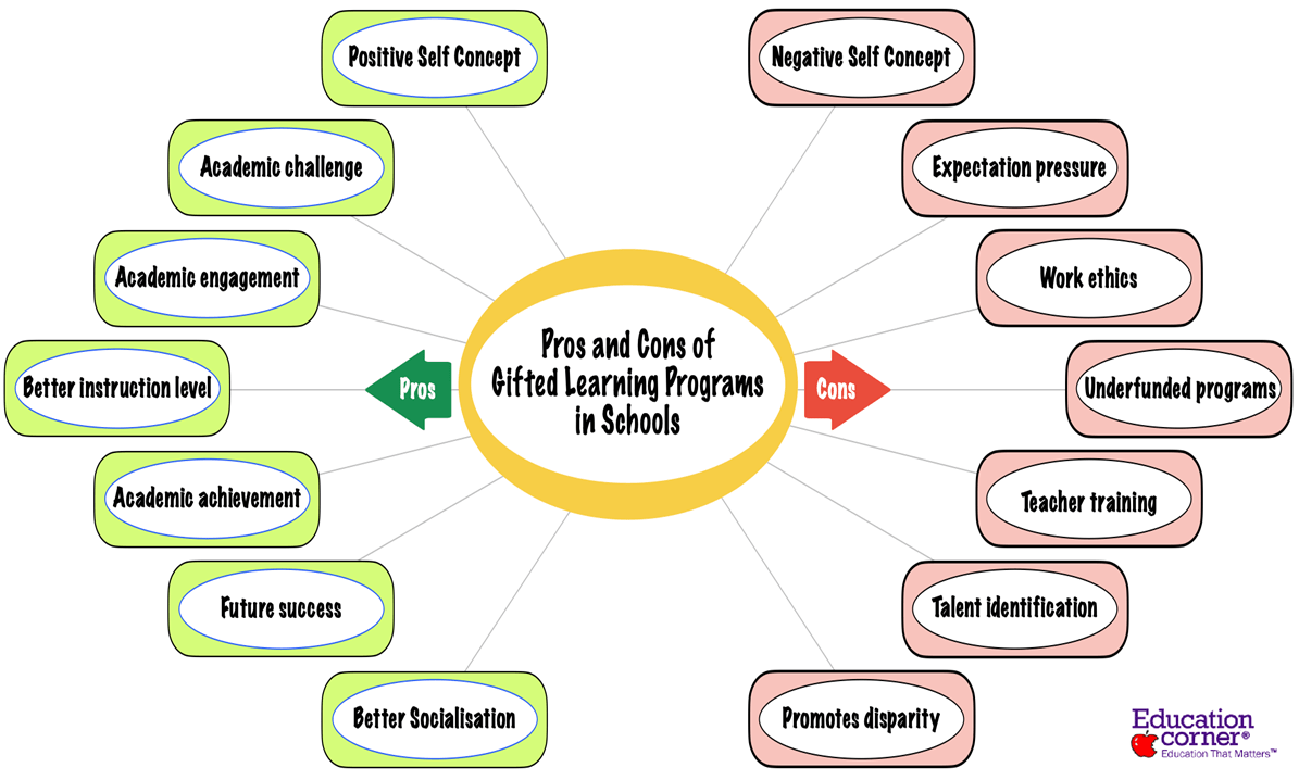 Pros and Cons of Gifted Learning Programs