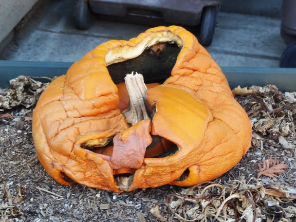 Pumpkin Decomposition