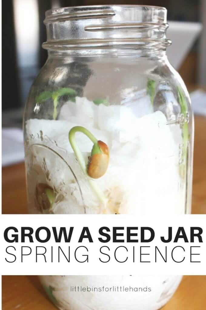 Grow Seed in a Jar