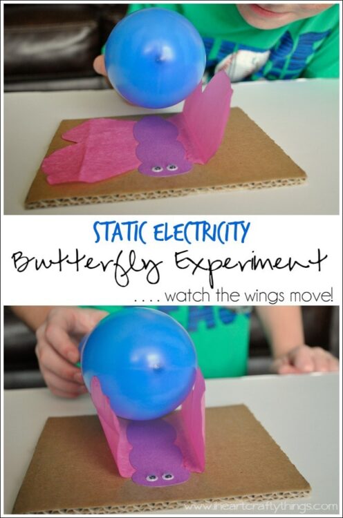 Static Electricity Butterfly