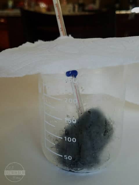 Vinegar and Steel Wool Reaction