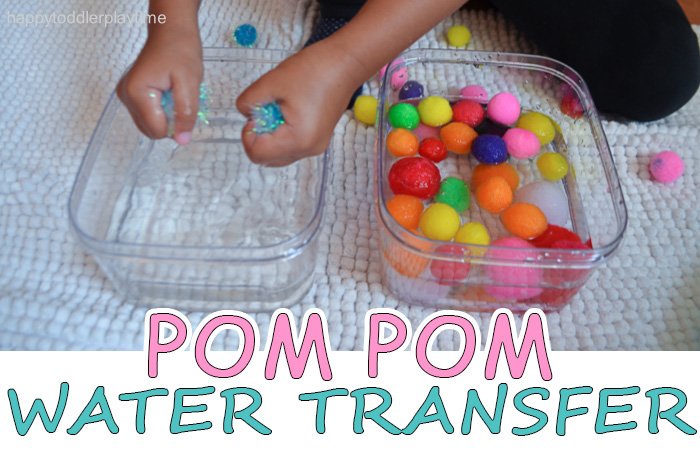 Pompom Water Transfer