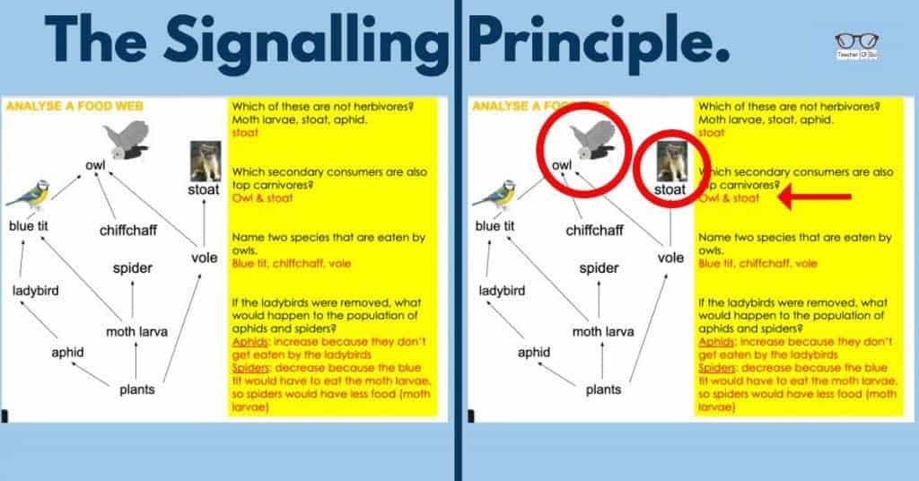 The Signalling Principle
