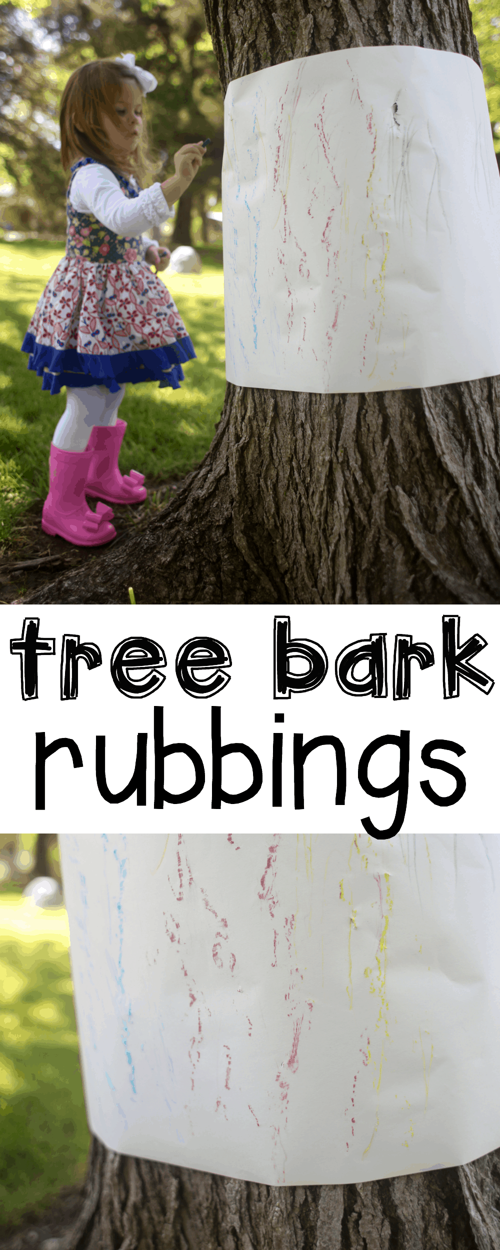 Outdoor Tree Bark Rubbings