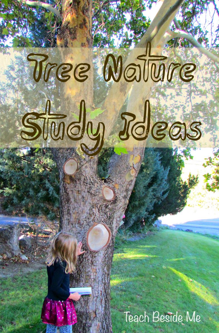 Tree Nature Study