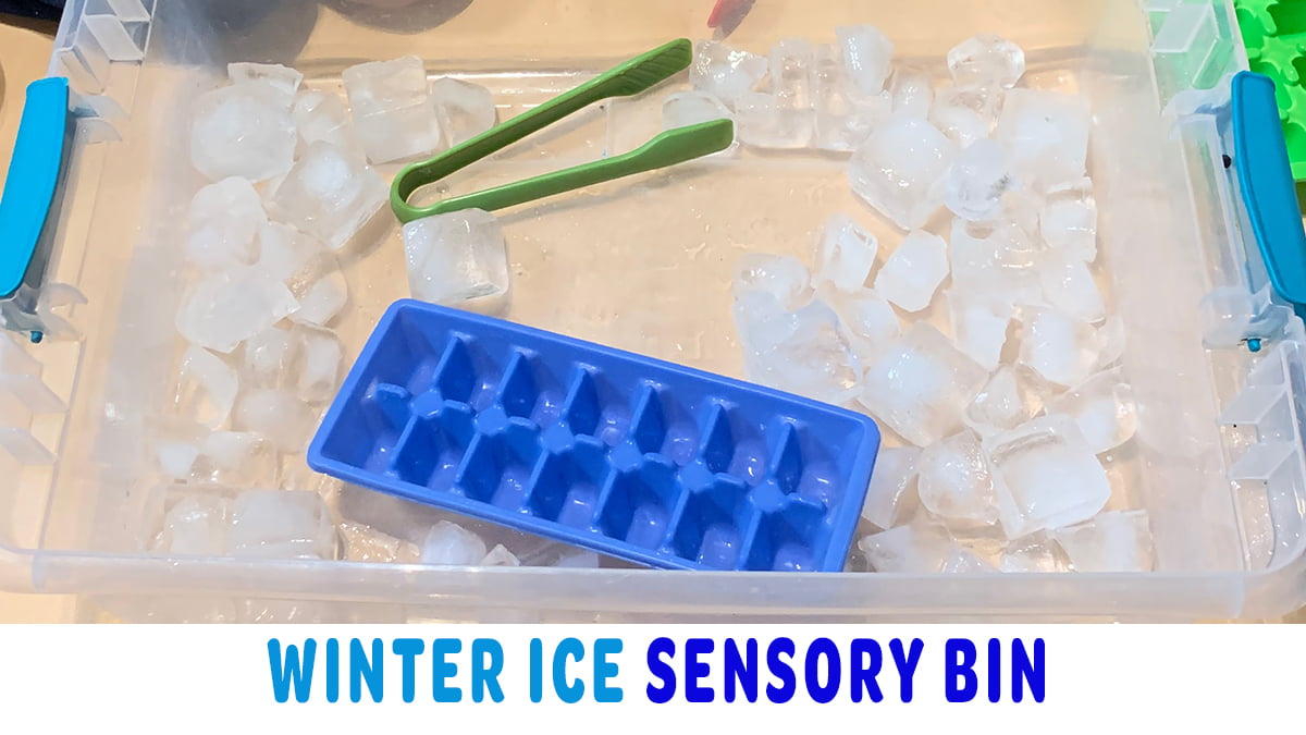 Super Easy Winter Ice Sensory Bin