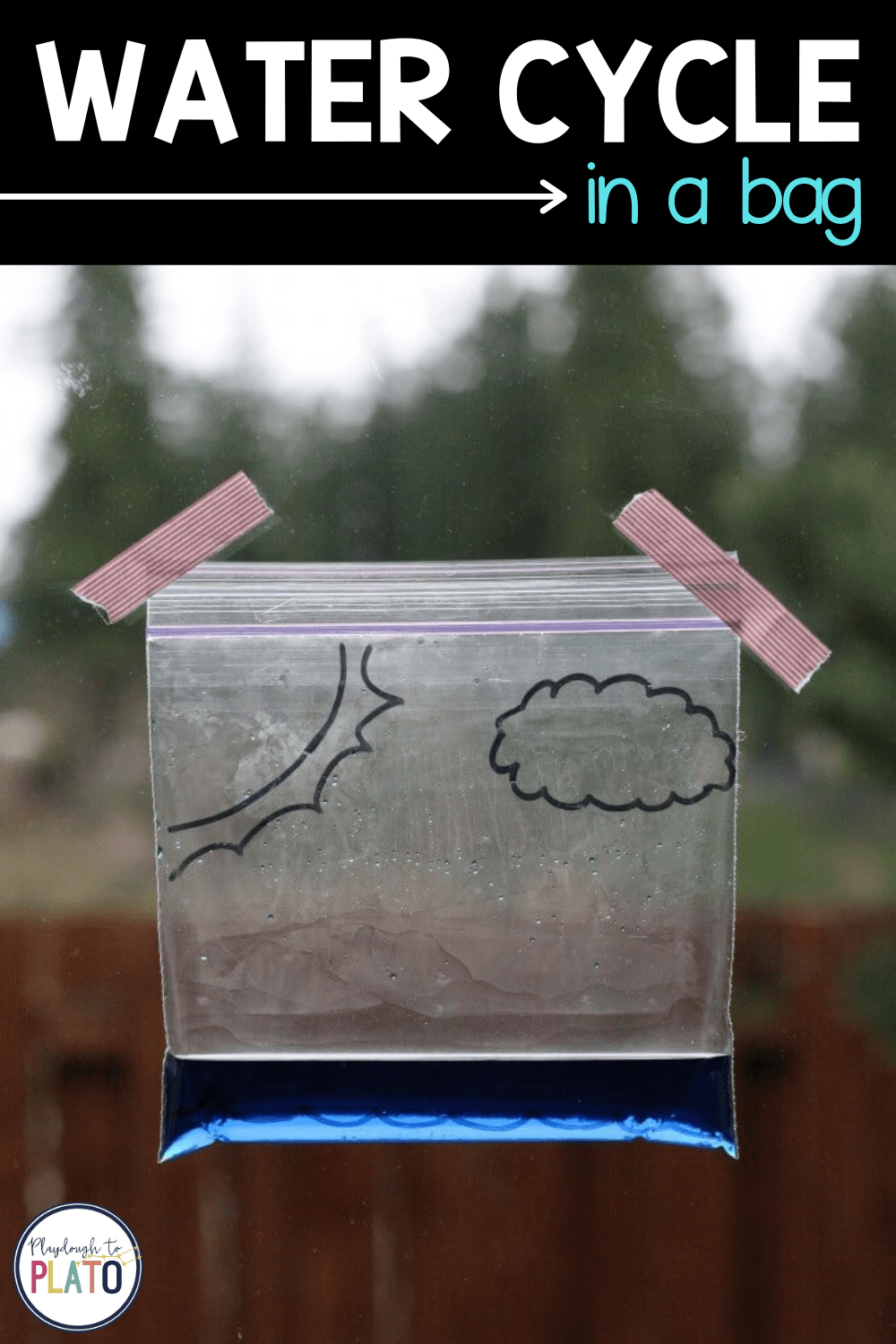 Water Cycle in a Bag