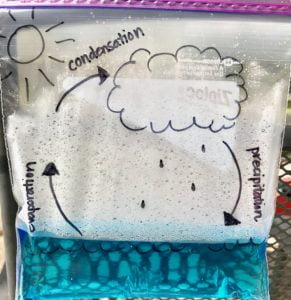 Water Cycle in a Bag