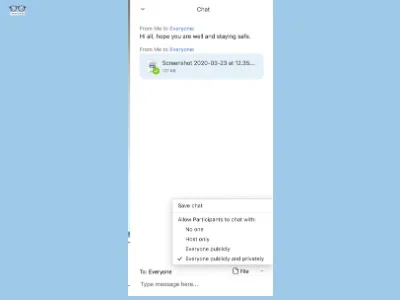Zoom text chat