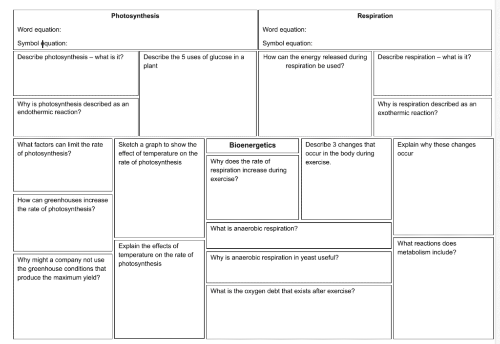 retrieval practice example placemat