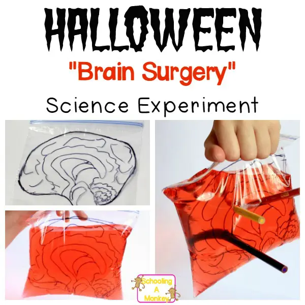 Leakproof “Brain in a Bag” Surgery Experiment