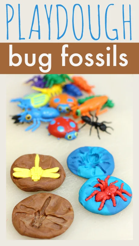 Playdough Bug Fossils