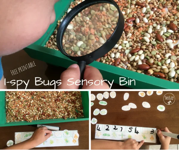 I-Spy Bugs Sensory Bin