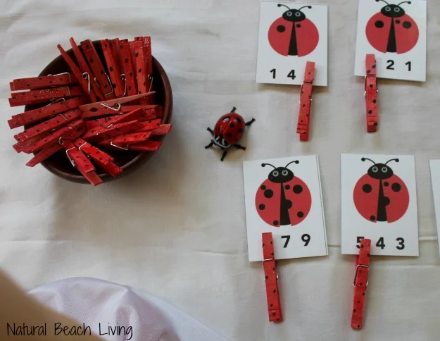 Ladybug Math for Preschoolers
