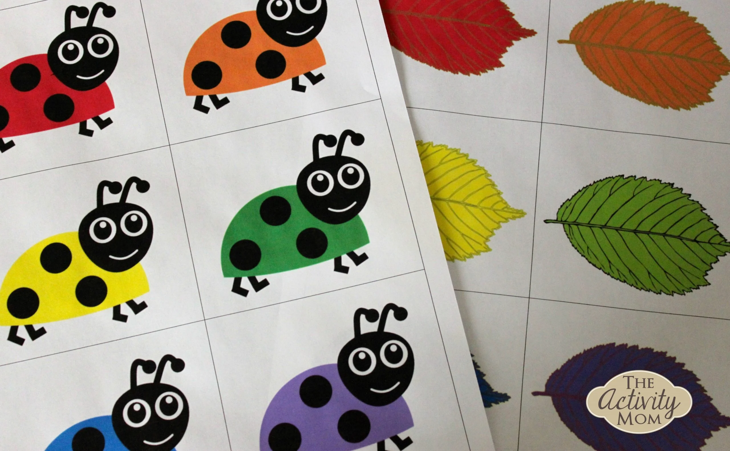 Bug Color Matching Activity