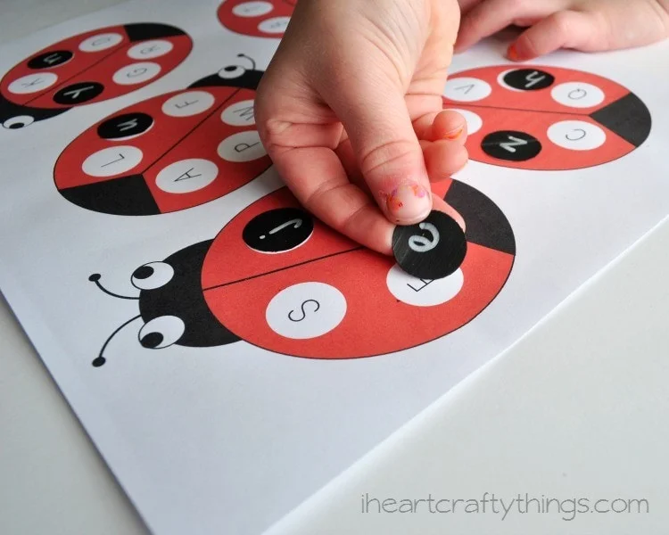 Ladybug Alphabet Match Activity