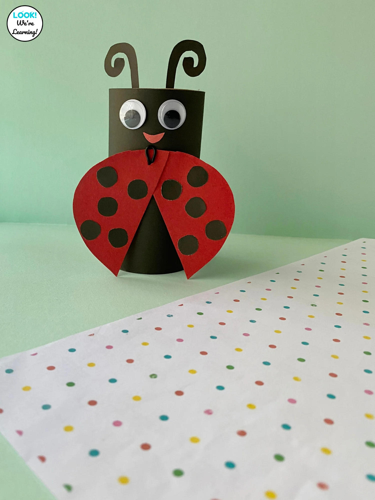 Easy Toilet Paper Roll Ladybug