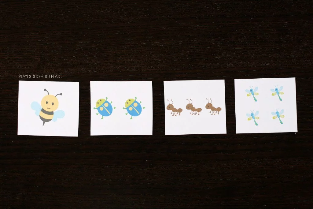 Bug Counting Cards