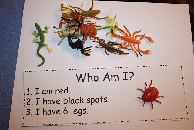 Guess The Bug