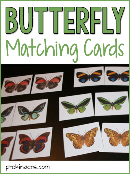 Butterfly Matching Game