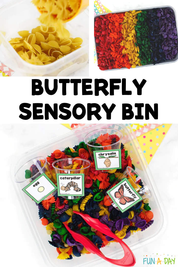 Butterfly Sensory Bin and Sorting Activity