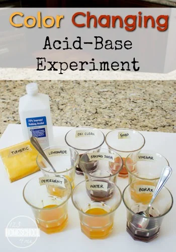 Color Changing Acid-Base Experiment