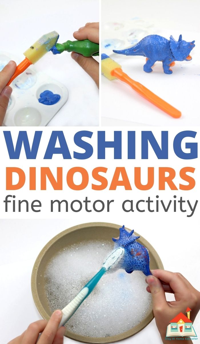 Dinosaur Washing
