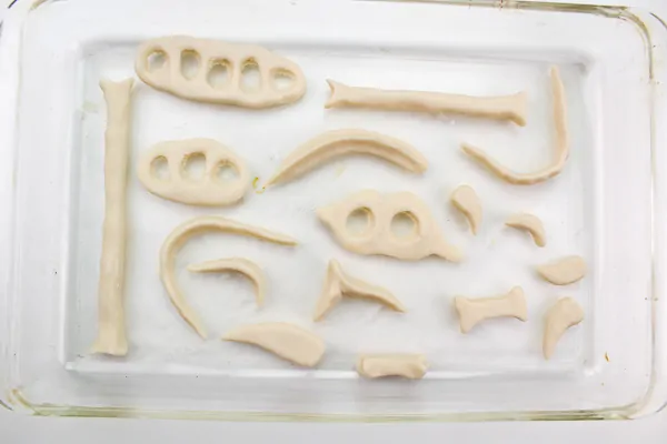 Sculpt Some Dino Bones